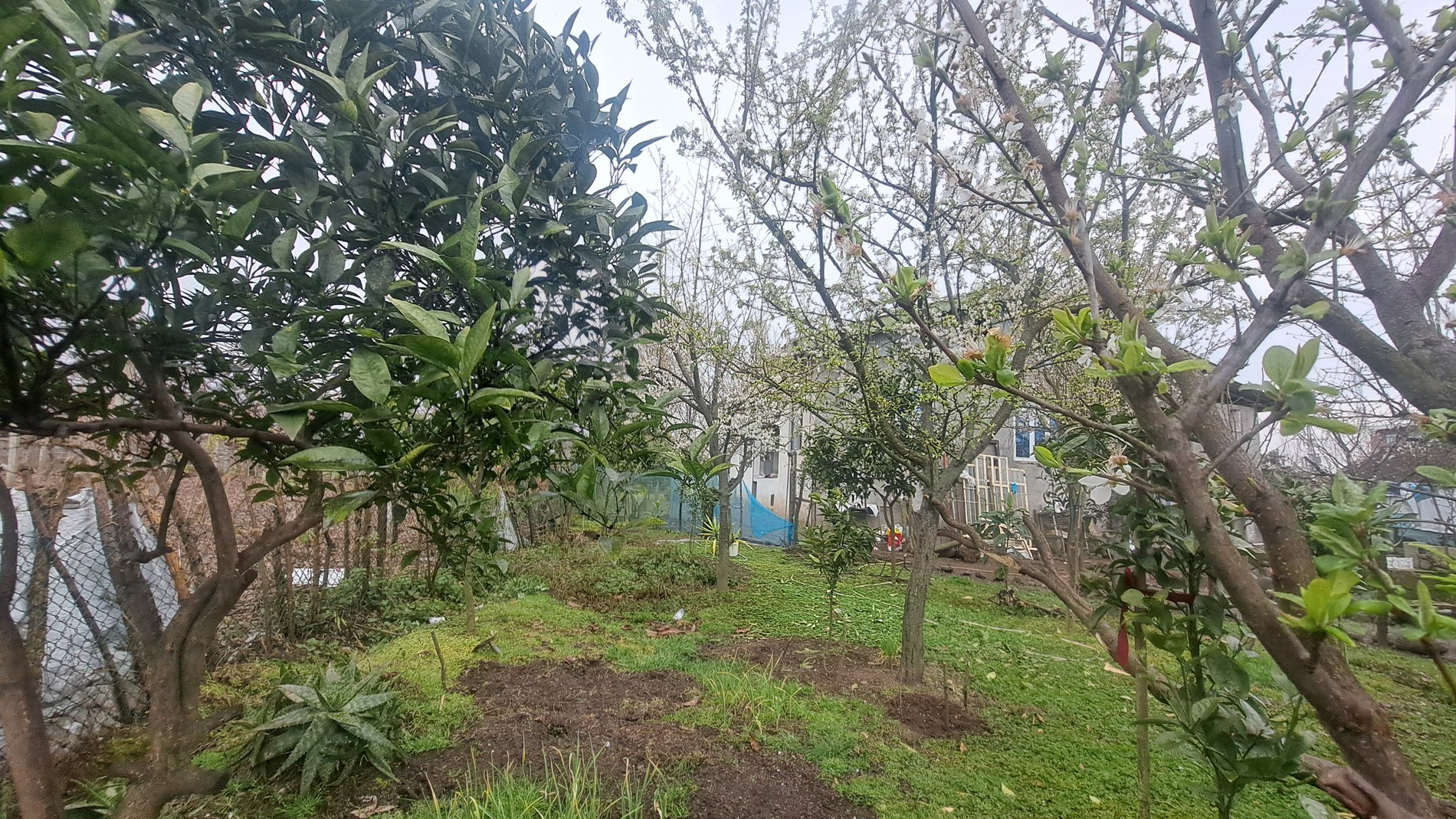 ویلا یک خوابه  حیاط خاطره ها