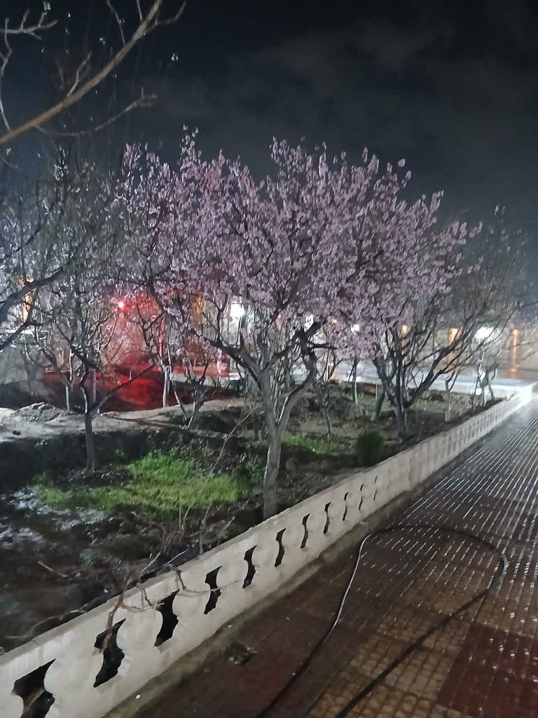 ویلا یک خوابه ثمری