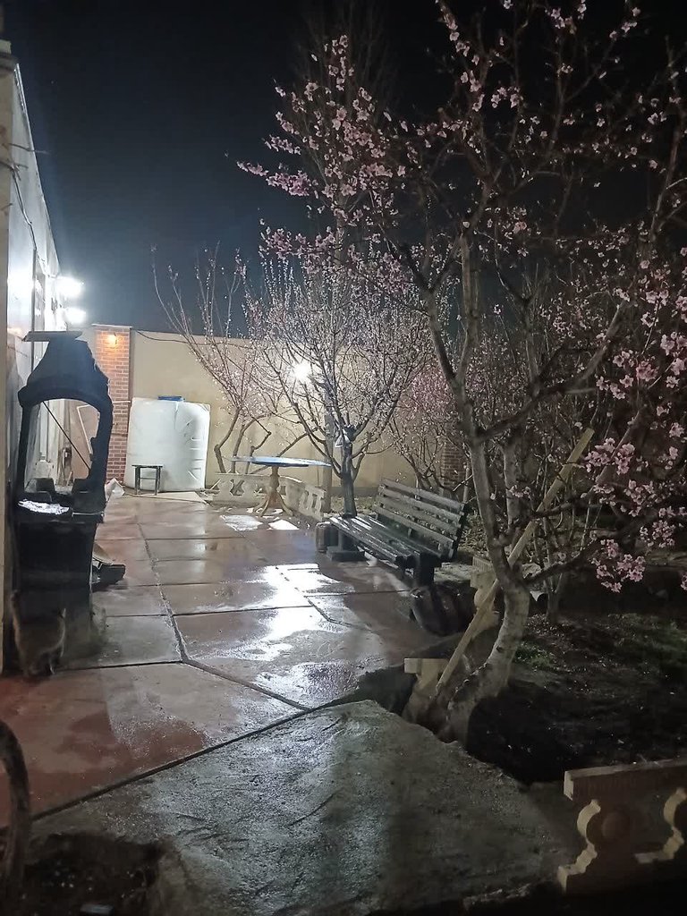 ویلا یک خوابه ثمری