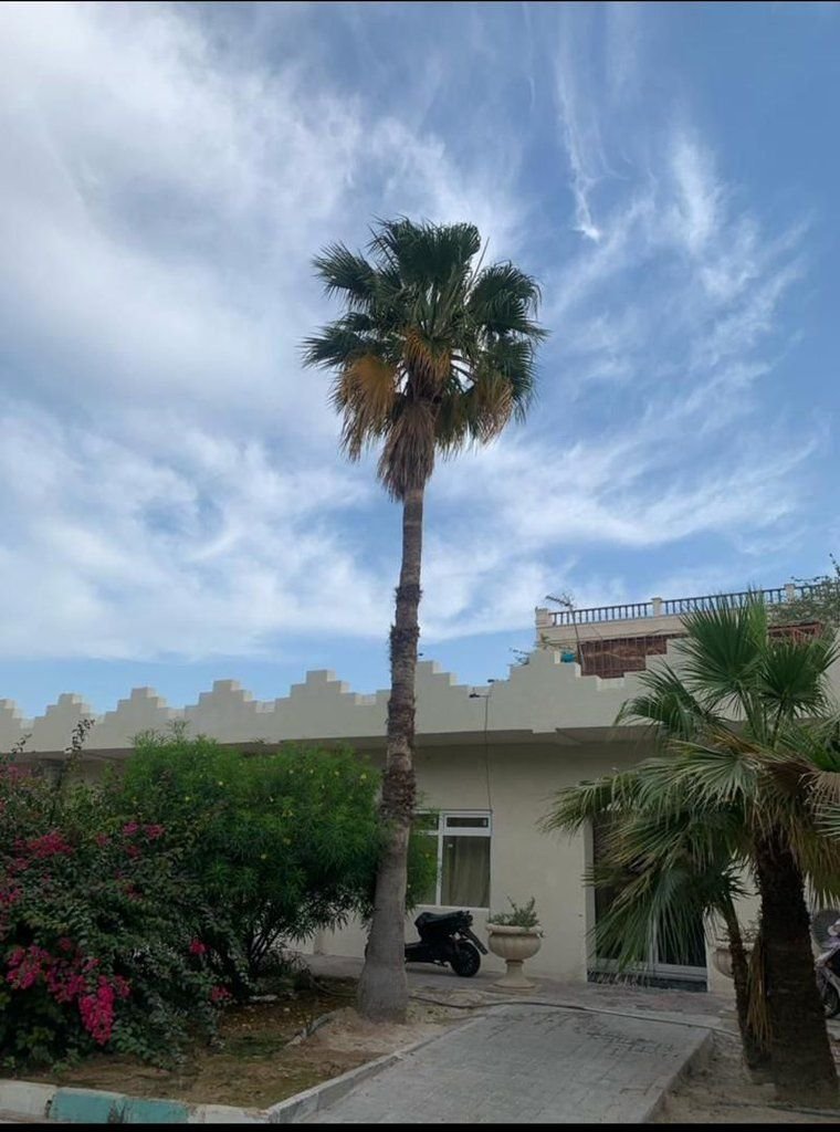 اکوتل - واحد دوتخته توئین 6