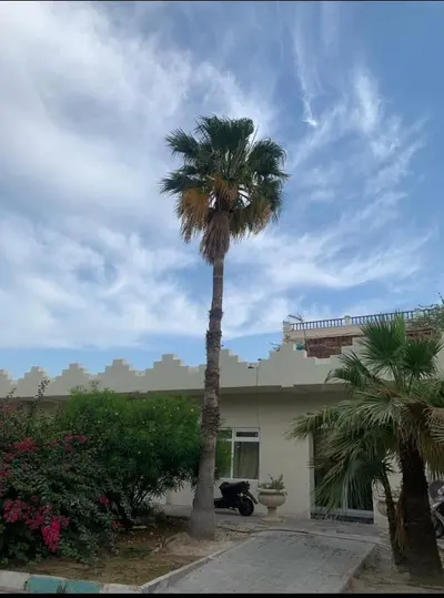 مجتمع اقامتی اکوتل - واحد دوتخته توئین 6