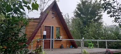 کلبه یک خوابه سوئیسی محیا