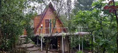 کلبه یک خوابه سوئیسی محیا