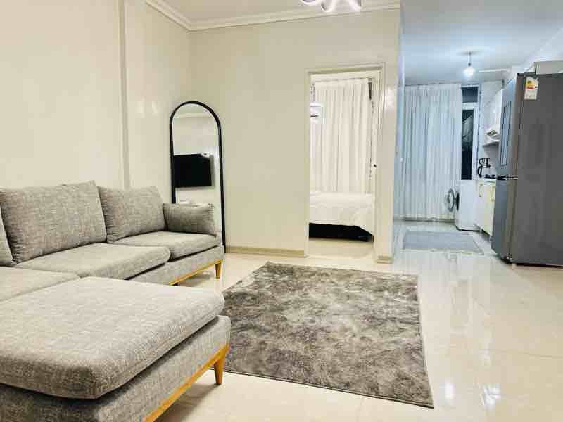 آپارتمان دوخوابه طوسی جمهوری