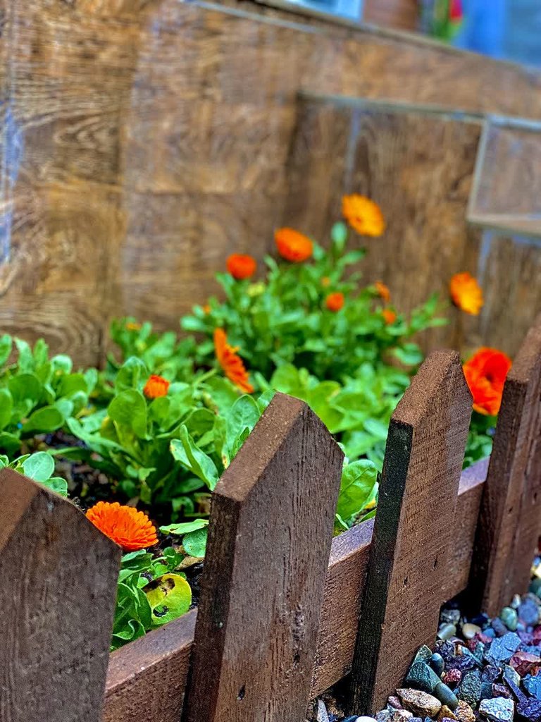 کلبه دوخوابه دوبلکس ملو