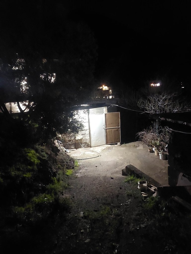 ویلا یک خوابه بام زیتون