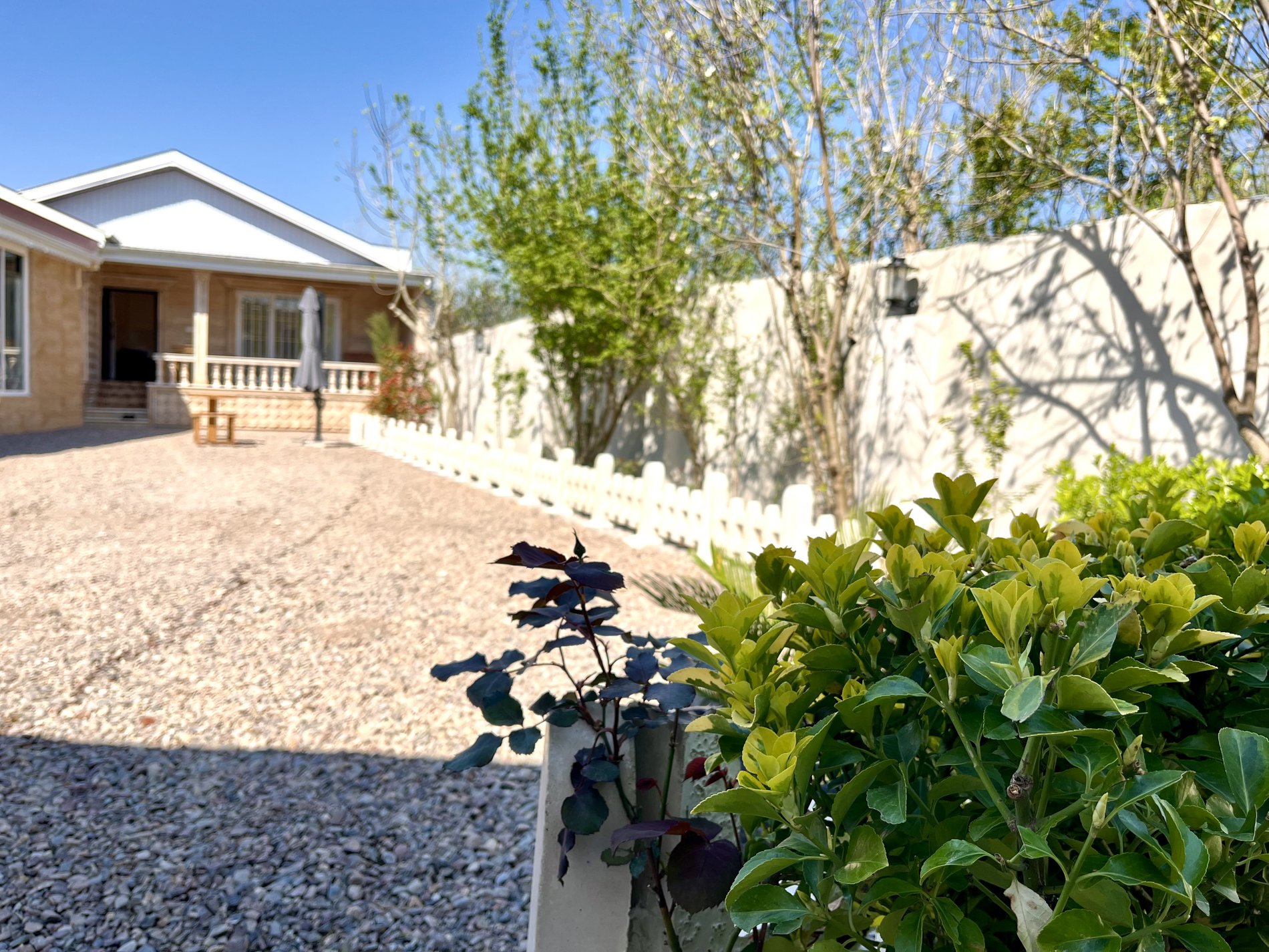 ویلا دوخوابه استخردار آبگرم شاملی