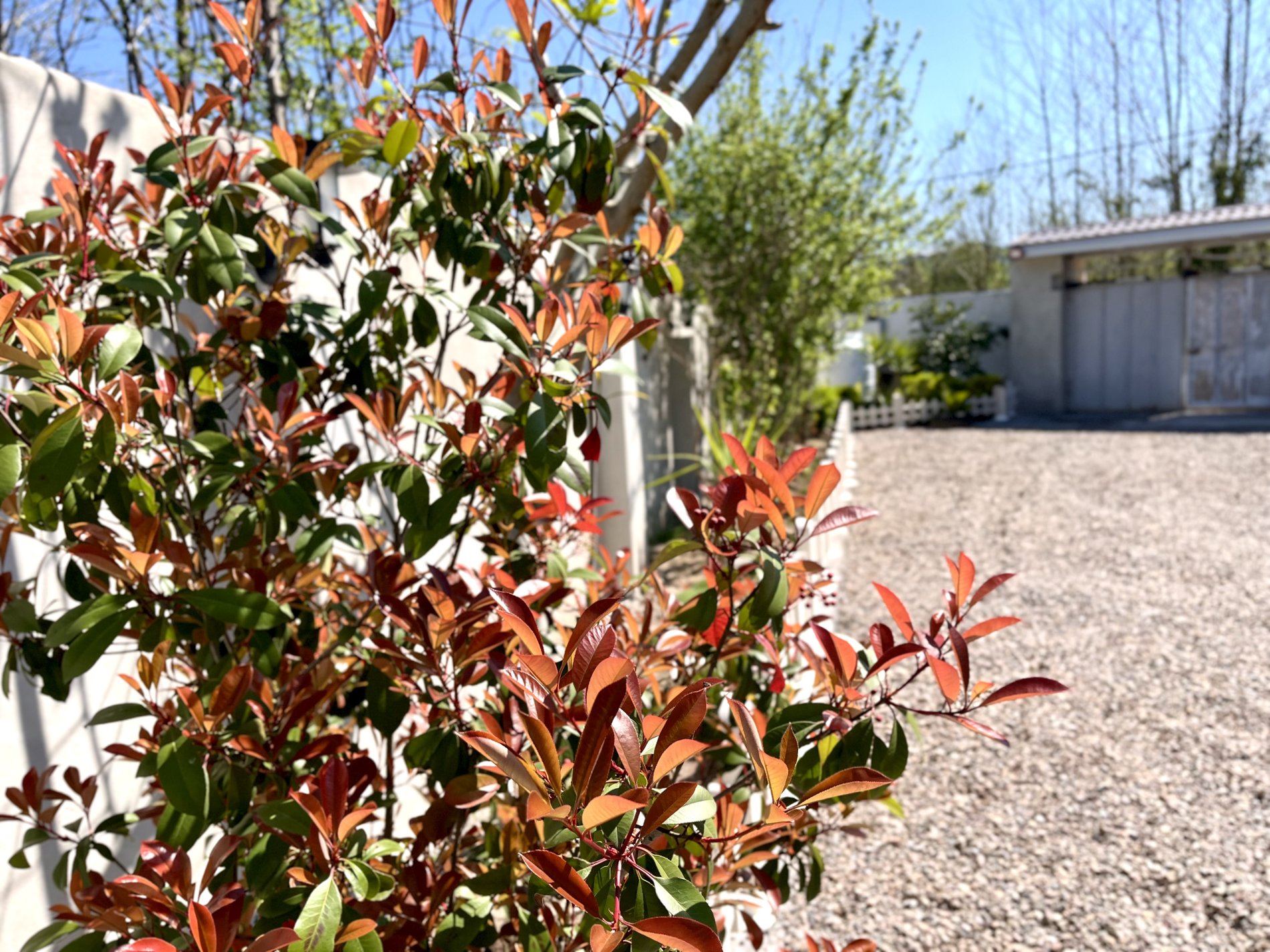 ویلا دوخوابه استخردار آبگرم شاملی