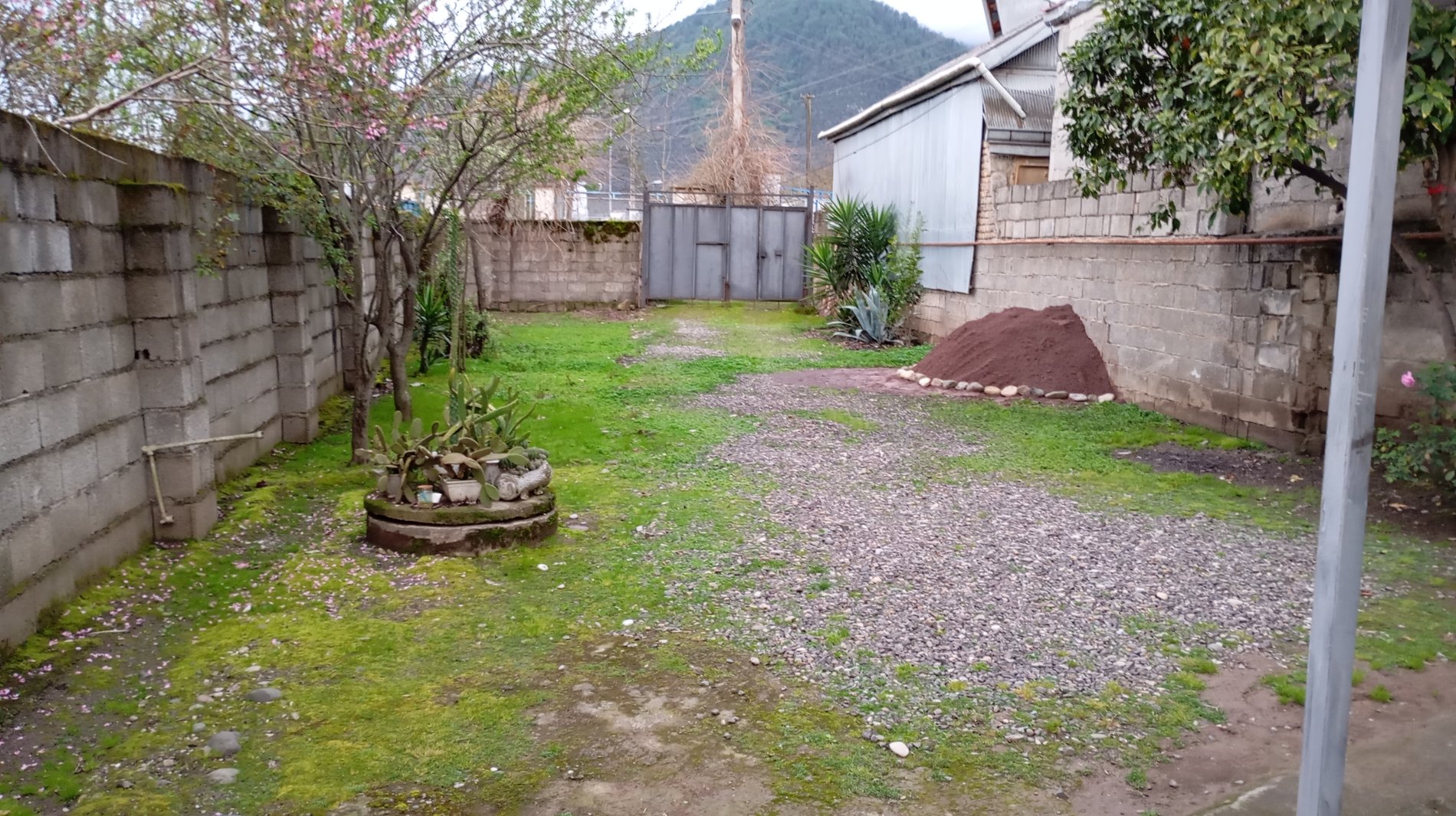 ویلا یک خوابه فرجی