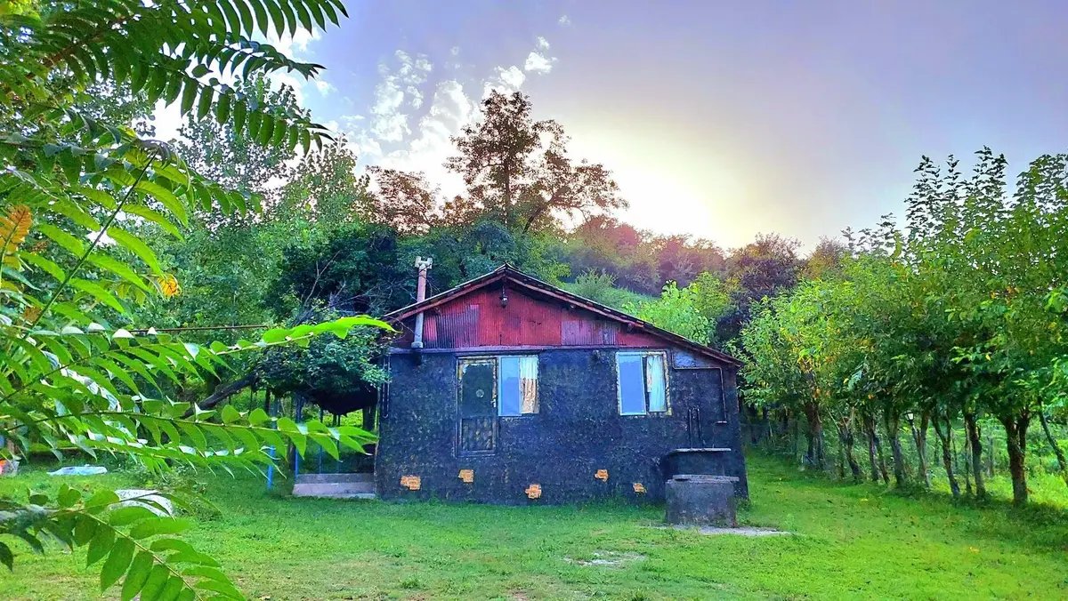 کلبه یک خوابه جنگلی مجنون - نمای روبروی ویلا