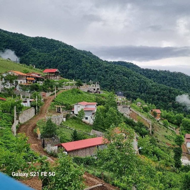 ویلا یک خوابه جنگلی گلستان 17