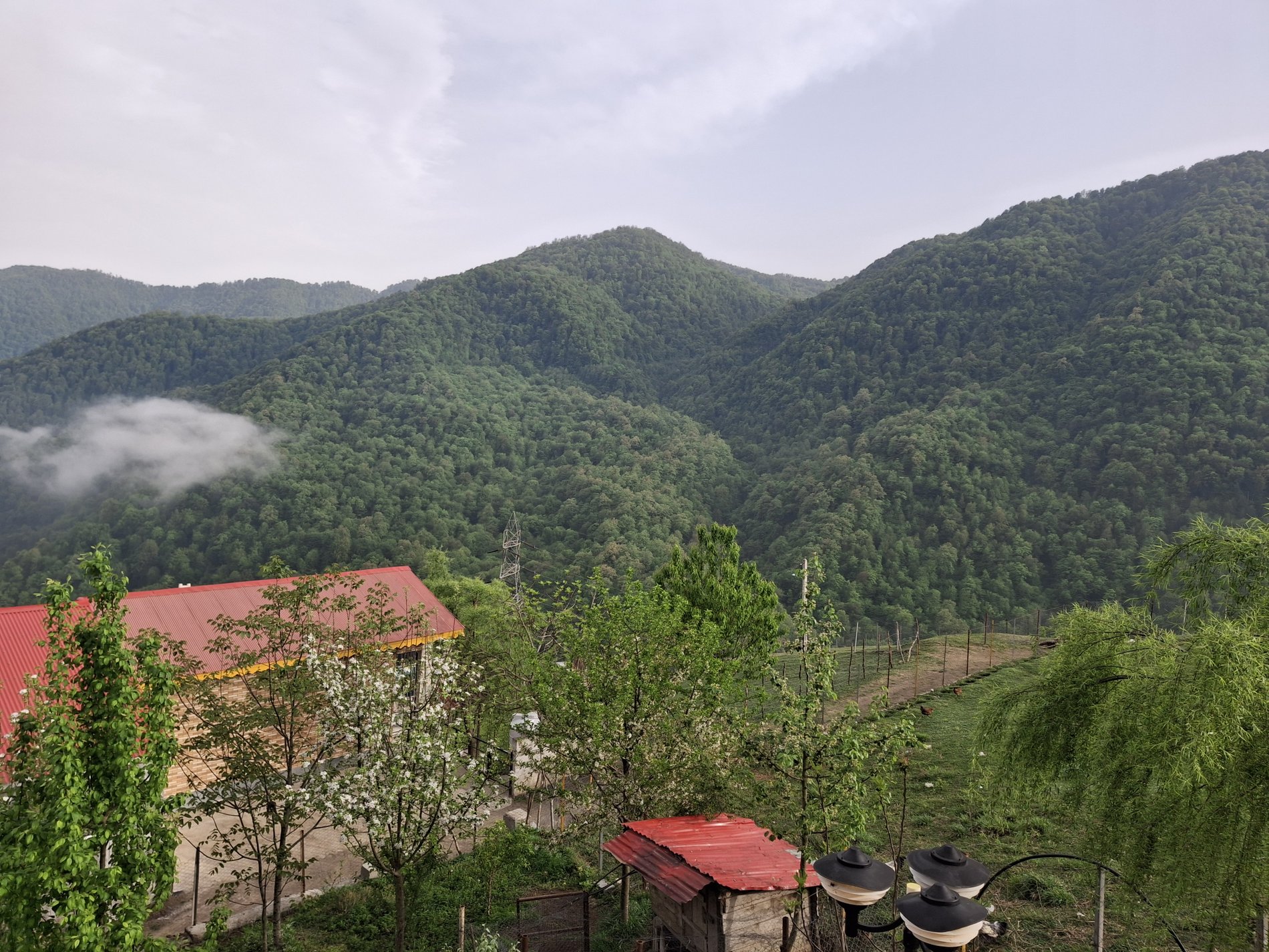 ویلا یک خوابه جنگلی گلستان 17