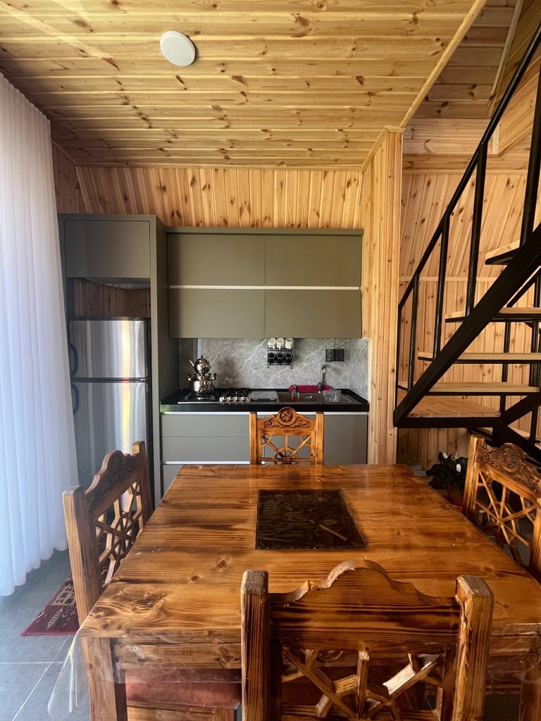 ویلا سه خوابه جنگلی سوئدی آسین