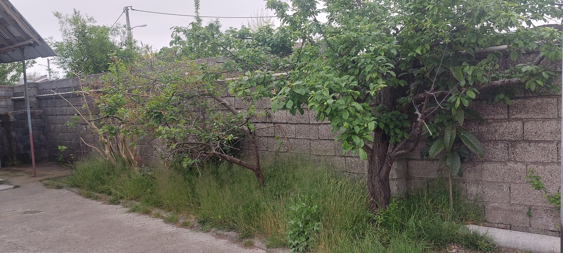 ویلا  ویلا انار تی تی