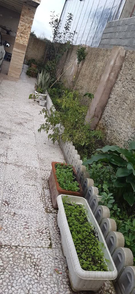 ویلا یک خوابه کادوس 2