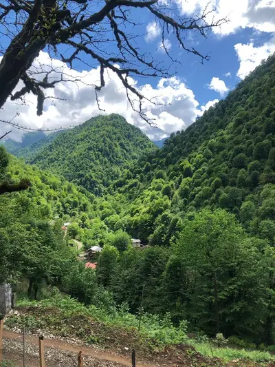 کلبه دوخوابه جنگلی چوبی بری