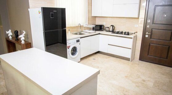 آپارتمان دوخوابه ویژه ولیعصر