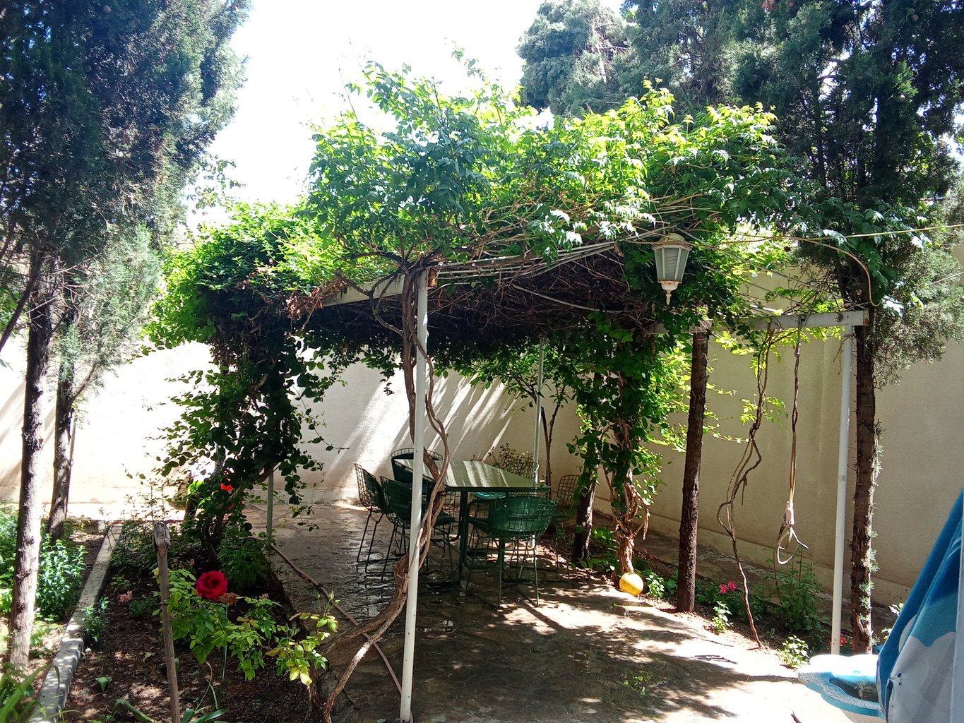 سوئیت فلت شیرشکاردو