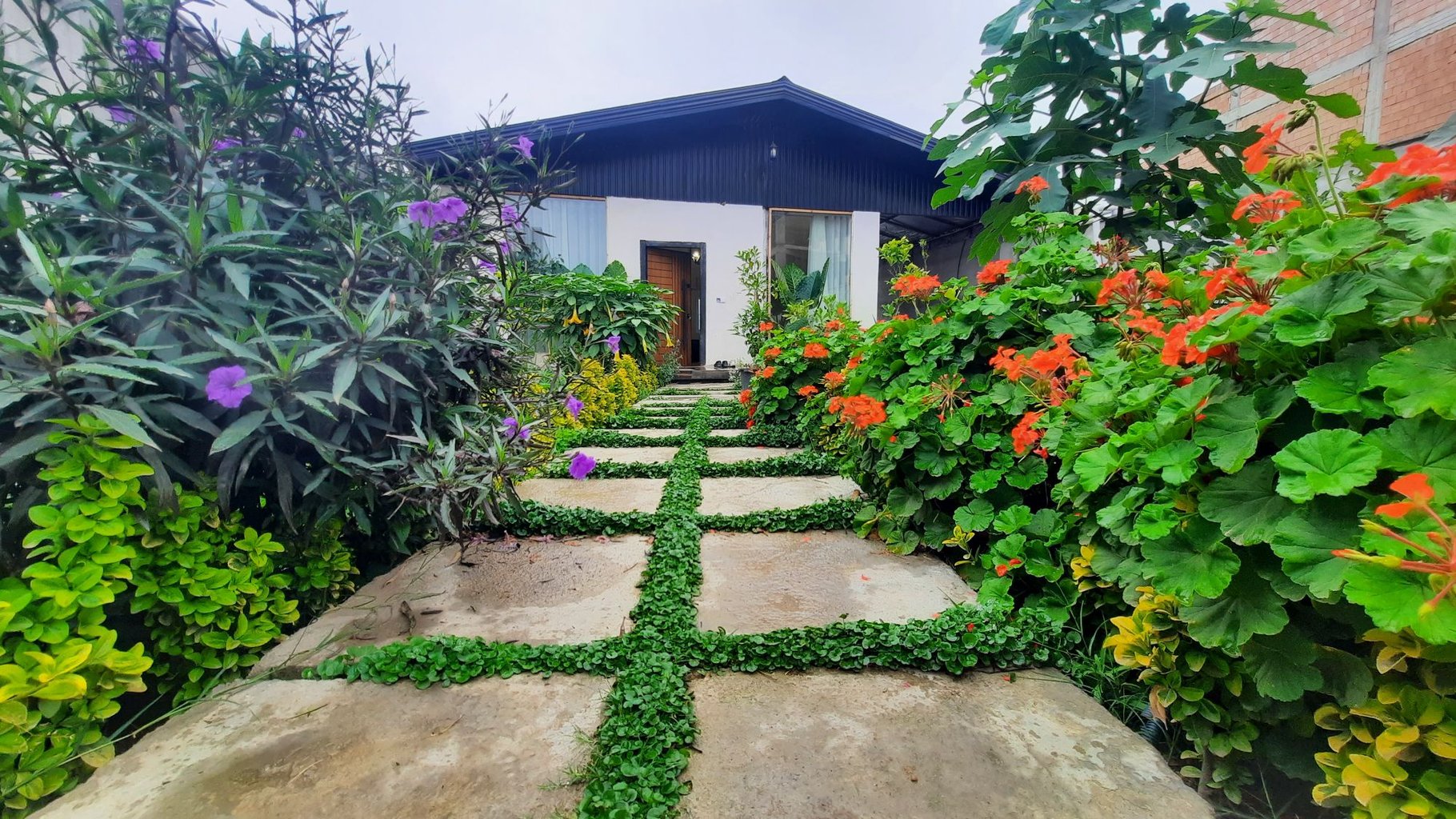 یک خوابه باغچه سبز