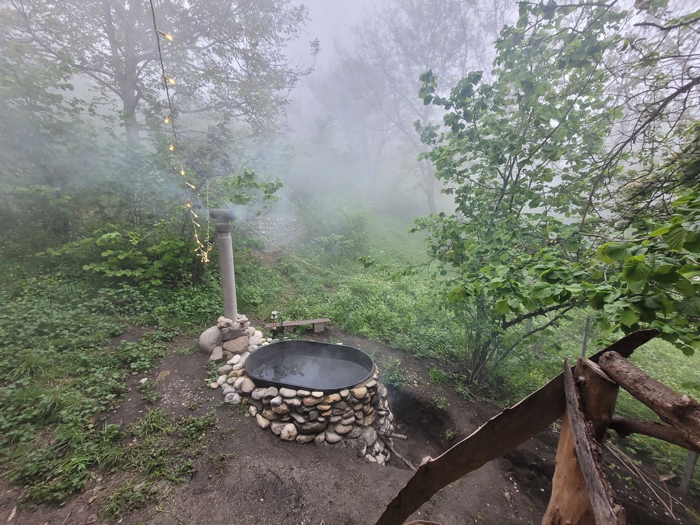 کلبه فلت جنگلی فیروزه ای