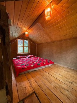 کلبه فلت جنگلی فیروزه ای