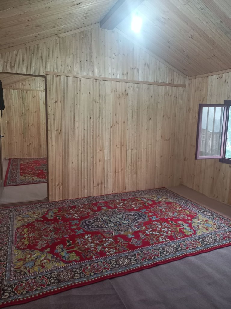 یک خوابه جنگلی پدر