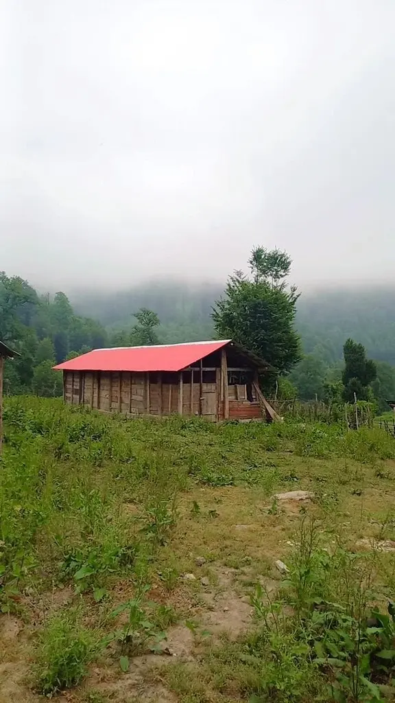 کلبه یک خوابه جنگلی پدر