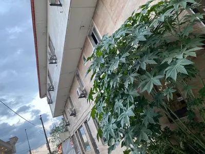 آپارتمان احسان - واحد 104