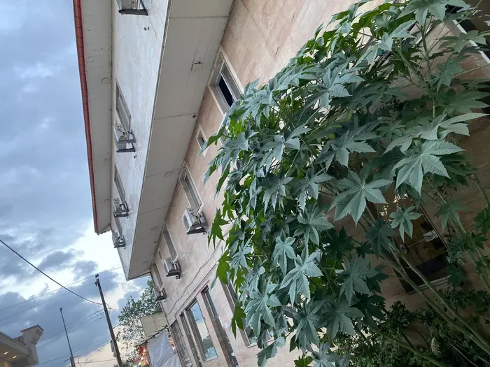 آپارتمان احسان - واحد 104