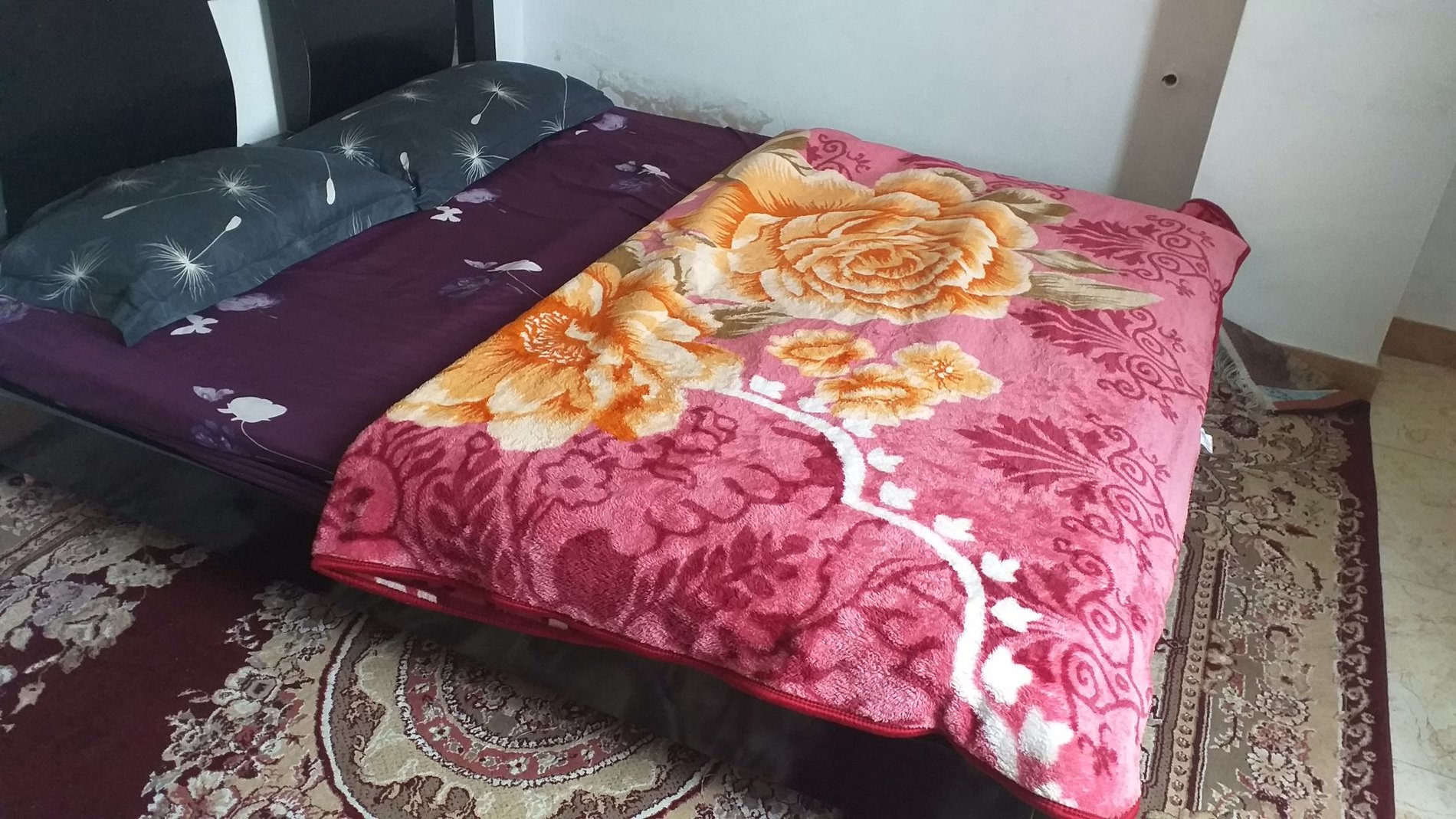 آپارتمان یک خوابه ساحلی یاس 1