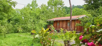 کلبه یک خوابه شیروان ۱