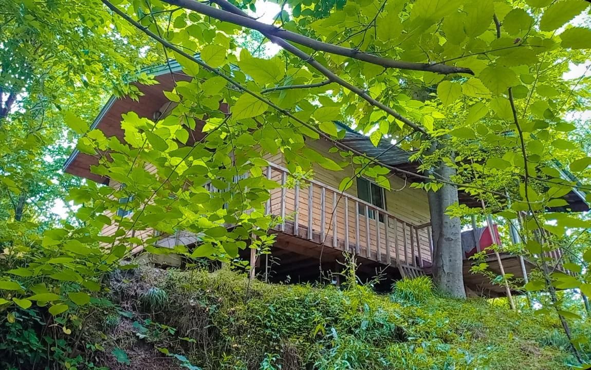 کلبه یک خوابه شیروان ۳