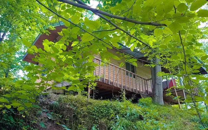 کلبه یک خوابه شیروان ۳