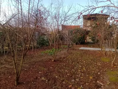 ویلا دوخوابه هیرکانی 3