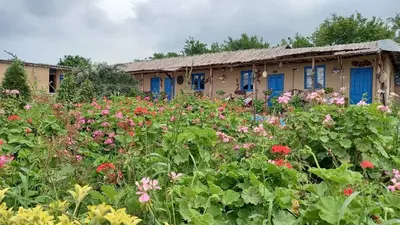 بومگردی اقامتگگالش - واحد افرا