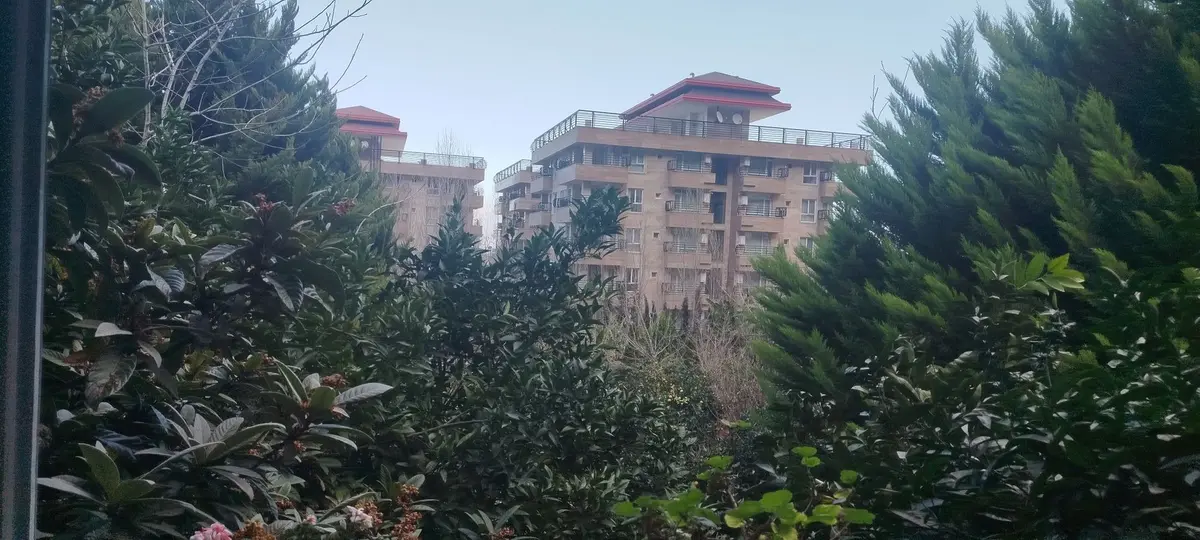 ویلا یک خوابه جنگلی سوتکا - نما روبه حیاط