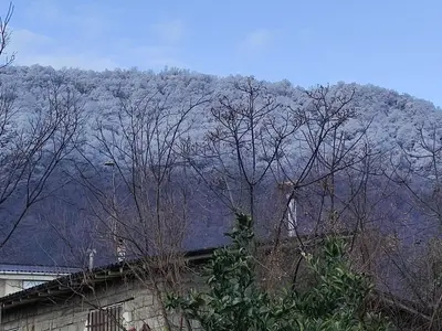 ویلا سه خوابه دریادیم 2