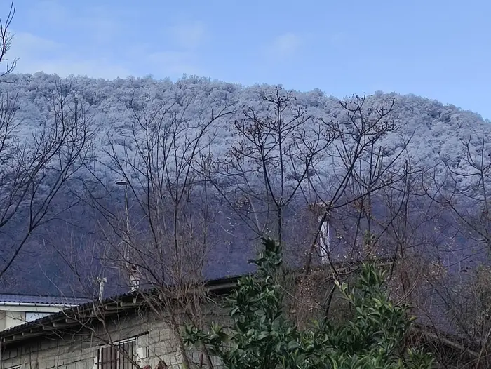 ویلا سه خوابه دریادیم 2