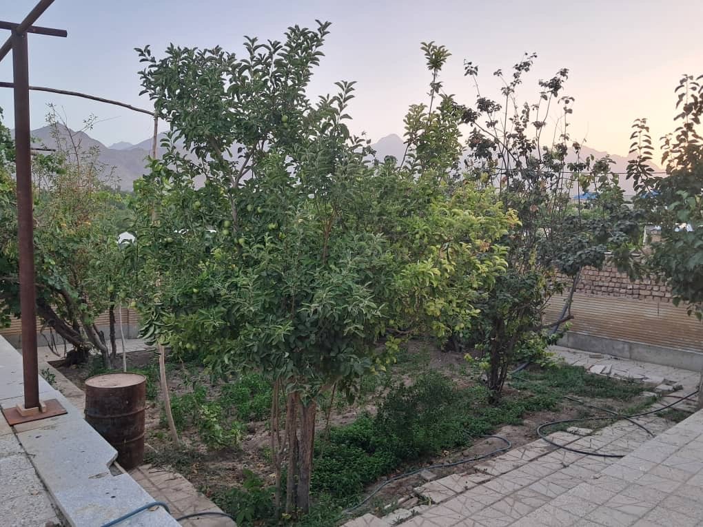 سوئیت فلت خطیری