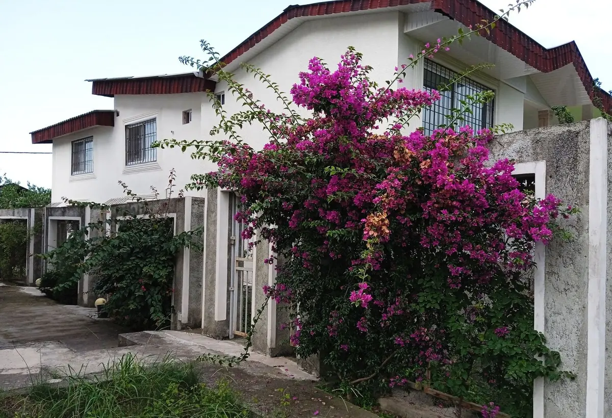 ویلا دوخوابه ساحل سفید - نمای دیوار حیاط شرقی