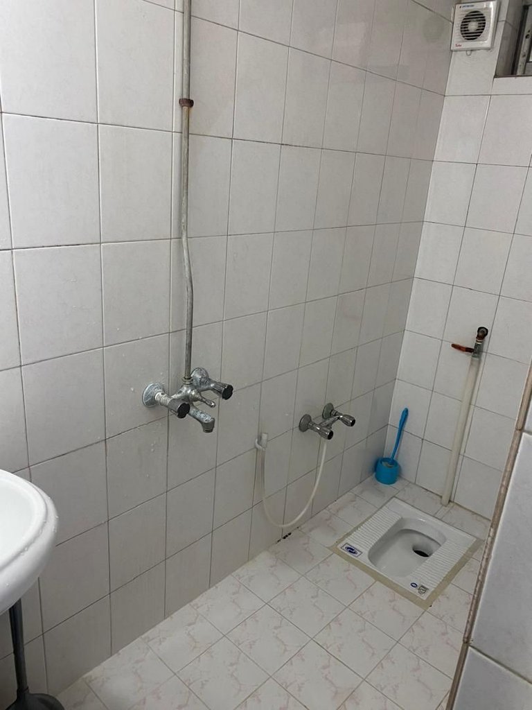 فلت ساحلی پاریس کوچک