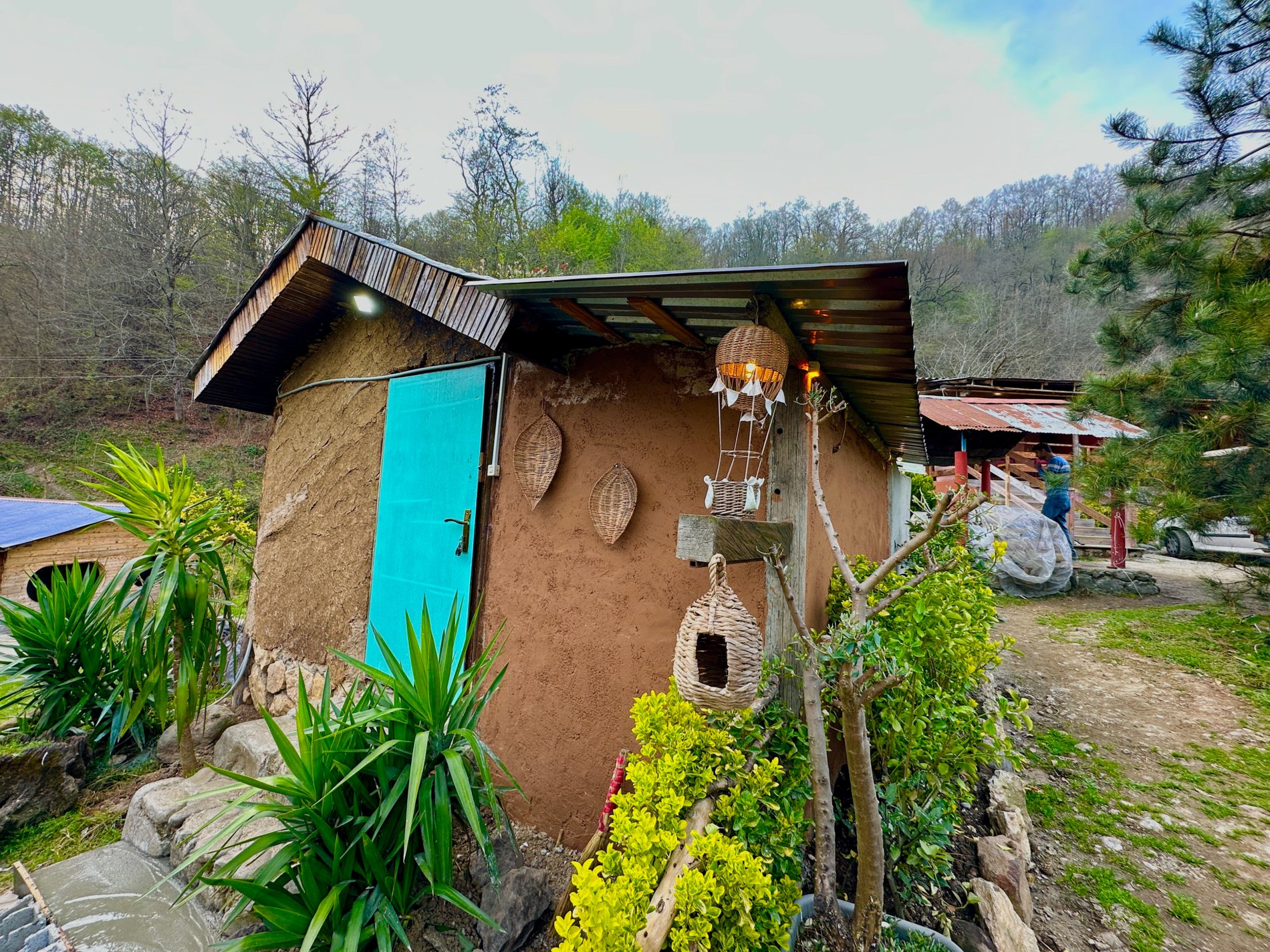 بومگردی کوکه - دُرنا