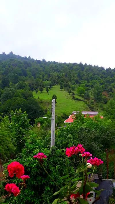 ویلا ‌ویلا چوبی دوبلکس  ماسال