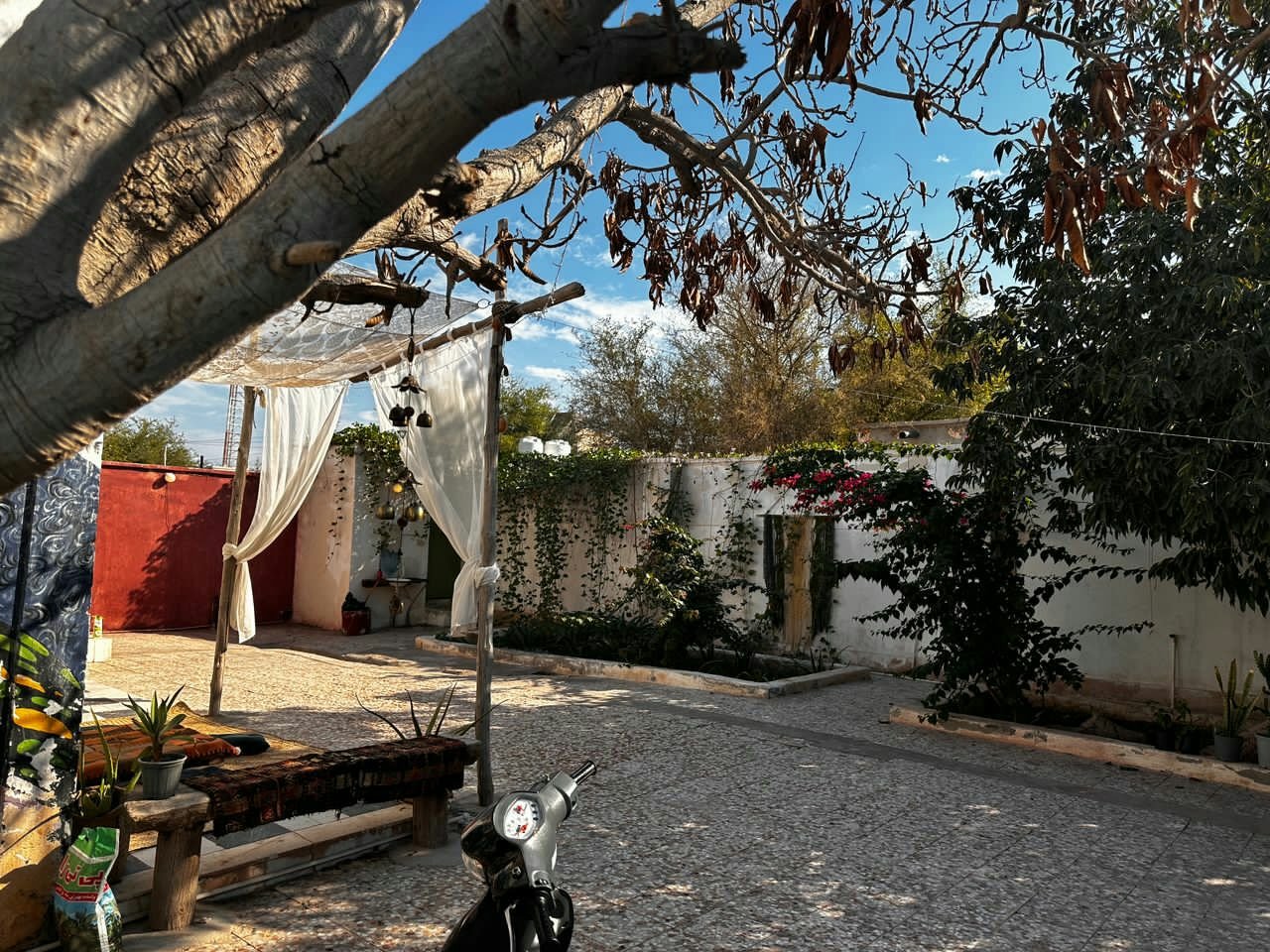 جمبو - واحد 3