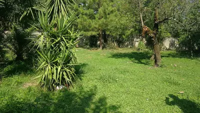 ویلا دوخوابه روستایی لیپیا