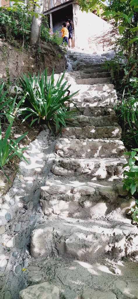 بومگردی میرزا شموشک -  واحد توسکا