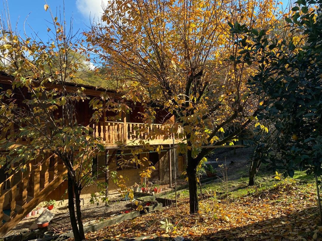 بومگردی افضل روآر پامچال - واحد پامچال