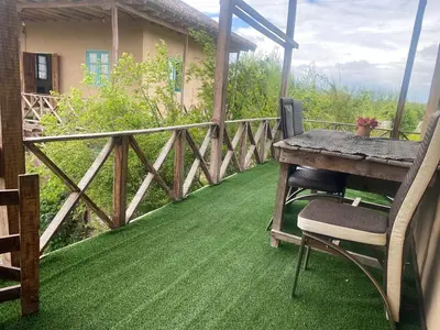 بومگردی حاج علی  - واحد مهمان