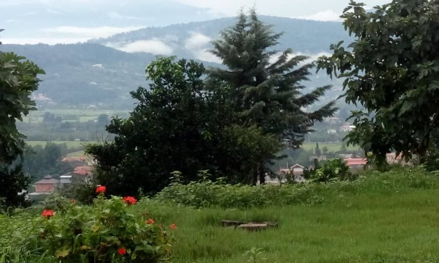 ویلا یک خوابه جنگلی آرامش 3