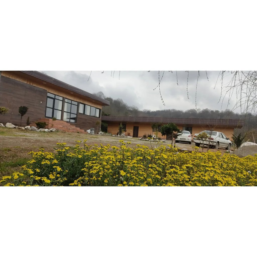 ویلا یک خوابه جنگلی آرامش 3